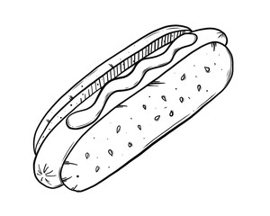Sketch style vector illustration of fast food.  Hot dog engraving style