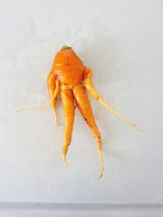 Karottenfigur (Lustige Karotte)