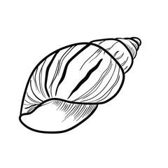 Seashell sketch style, hand drawn vector illustration isolated on white background
