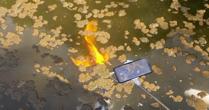 From above smartphone on monopod during process of taking photo of koi carps swimming in muddy lake in park
