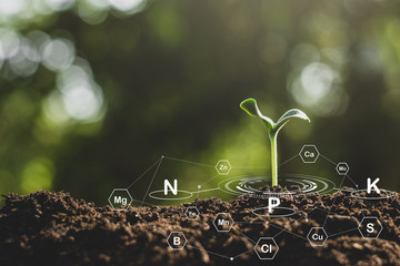 The seedlings are growing from the rich soil and have an icon attached to the nutrients necessary for plant growth. - obrazy, fototapety, plakaty