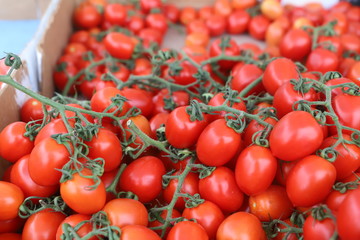 closeup of tomatoes displayed on the market