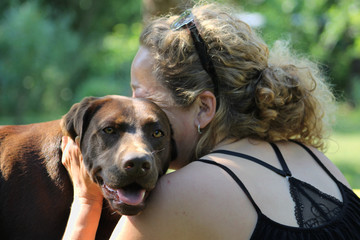 brown labrador is getting hugged by woman