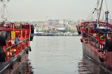 LPG tankers in port of Istanbul, Turkey on background city 