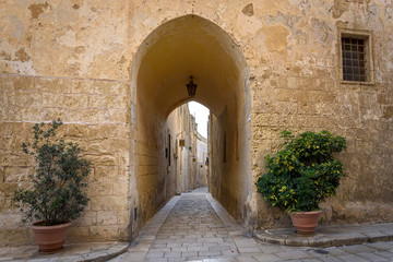 Fototapeta na wymiar Arch to the narrow street of medieval castle