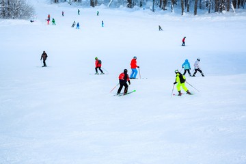 Fototapeta na wymiar Ski.