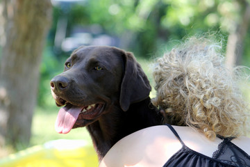 brown labrador is getting hugged by woman