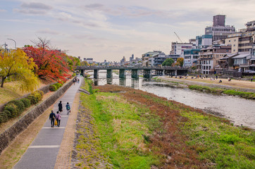 Fototapeta premium 京都の鴨川
