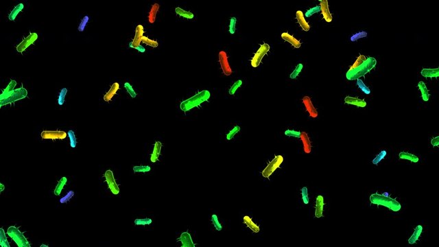 Animated Germs Bacteria Virus Floating around Video Clip with transparent background Alpha Channel UHD 4K Full HD resolution