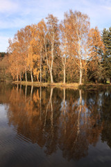 Fototapeta na wymiar Herbst an der Ilm bei Bad Berka