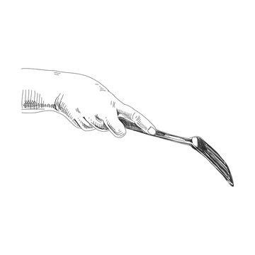 Hand Holding Spatula Black Ink Sketch Illustration