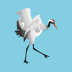 Japanese dancing red-crowned crane in different poses isolated