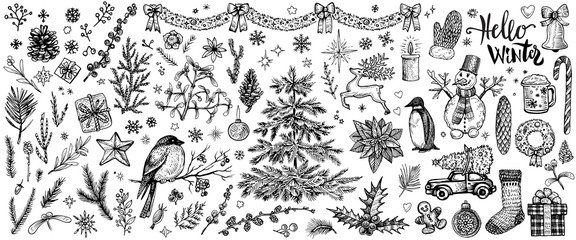 Winter hand drawn sketches. Vector vintage Christmas plants and symbols.