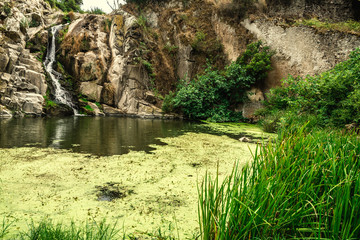Triulintas waterfall surrounded by vegetation