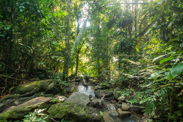 Obraz premium Kathu Waterfall, Phuket, Thailand. A forest path in a beautiful, abundant waterfall.