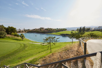 Fototapeta premium green trees and lake
