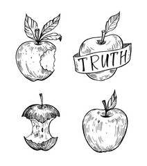 Set of sketch apples. Hand drawn illustration converted to vector. Isolated on white background