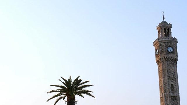 Closeup of izmir clock tower and palm tree with birds flying.