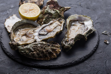 Fresh open Oysters with paw of a black cat. Healthy sea food. Dinner in restaurant. Gourmet food. Dark background. Top view