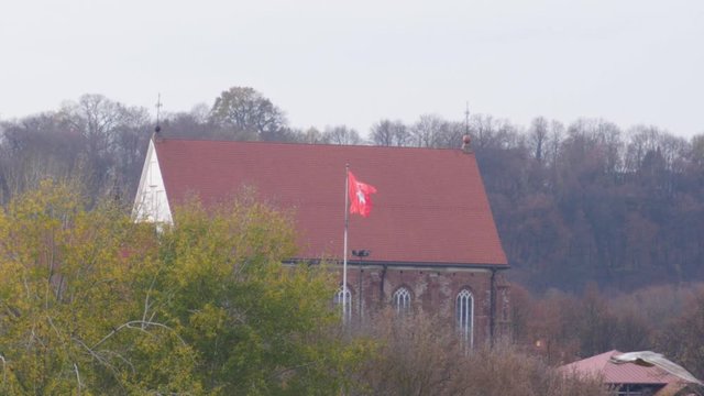 A European Herring Gull flying in front of the Kaunas Castle and Vytis coat of arms flag in Lithuania