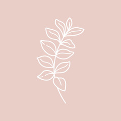 Branch with leaves of the plant. Outline Botanical leaves In a Modern Minimalist Style. Vector Illustration. For printing on t-shirt, Web Design, beauty Salons, Posters, creating a logo and other