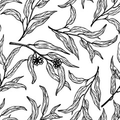 Seamless pattern of eucalyptus branches on white background. Hand drawn vector illustration with contour lines.