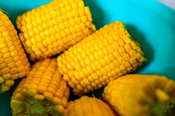 Corn on the cob in a bowl cooked
