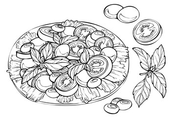 Fresh salad, organic food, vegetables. Hand drawn sketch of fresh salad. 