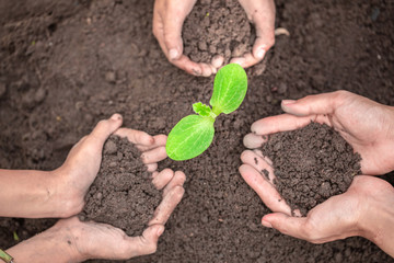 The soil in the hands of parents and children.Conserve the environment by planting trees. and protect with plant growing. The concept of the Earth Day environment is in the hands of a growing tree.