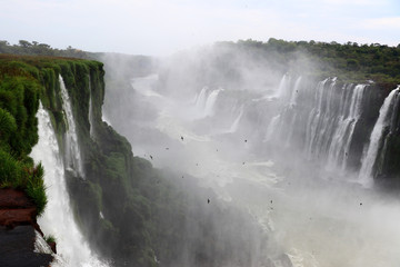 Iguazu Falls - Iguazú National Park, Paraná, Brazil, Argentina