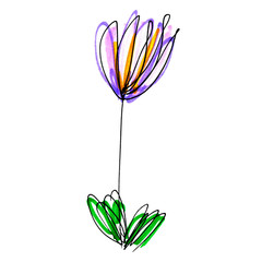 hand-drawn illustration of a purple crocus saffron flower isolated on white, ink and marker drawing