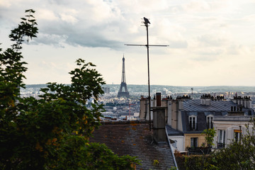 Fototapeta premium Paris