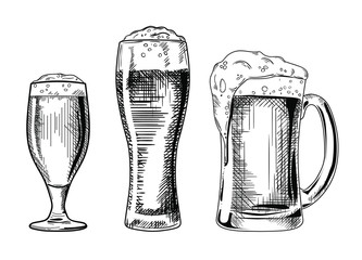 Set of the different beer glasses vector illustration, hand drawn sketch style 