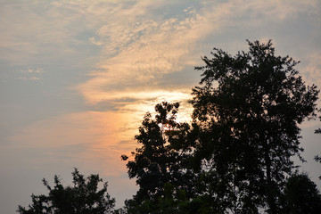 Fototapeta na wymiar Silhouette of trees during sunset at tikamgarh, Madhya Pradesh, India.