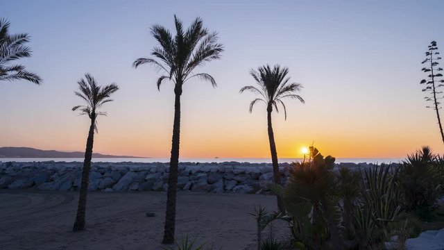 Sun rising over the rocky pier of puerto banus with palm trees in forground