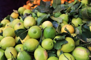 closeup of lemons exposed to the market