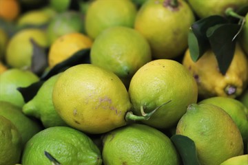 closeup of lemons exposed to the market