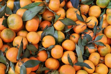 close up of mandarins displayed on the market