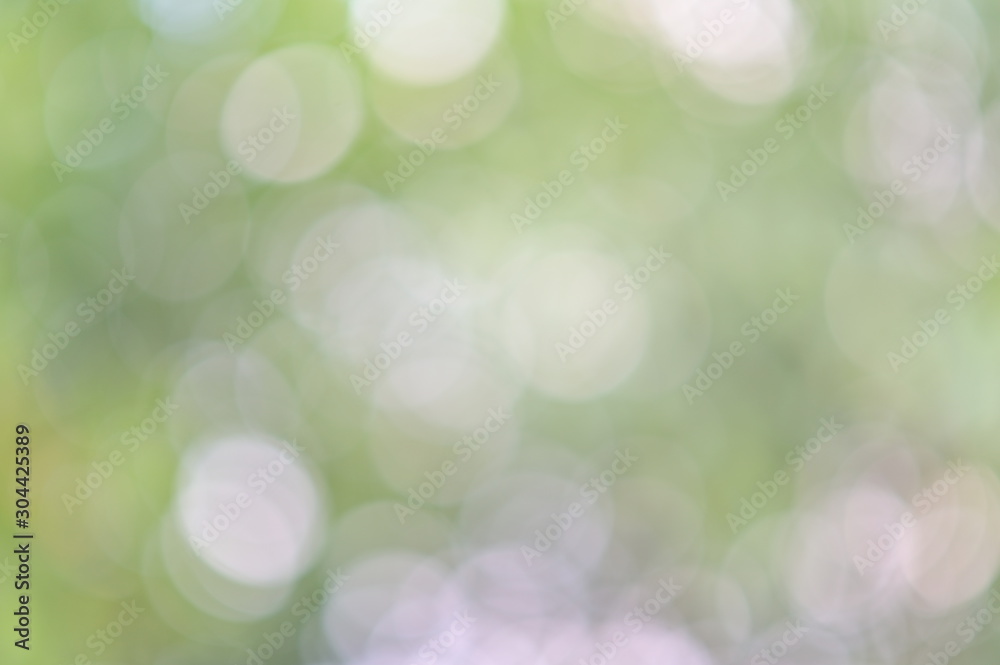 Aufkleber abstract green leaf bokeh background, green blurred abstract background from foliage sunshine backgr