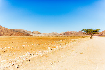 Fototapeta na wymiar Beautiful roads in Namibia, Africa