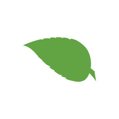 Leaf Logo Template vector symbol