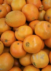 closeup of  oranges on display at the market