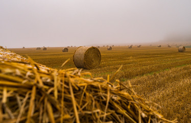 Straw bales from a field in the fog