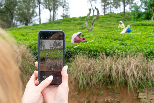 A woman takes pictures on the phone of women who pick tea at tea plantations. 