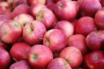 Fototapeta na wymiar closeup of apples exposed to the market