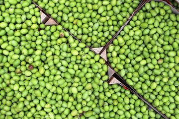 closeup of olives exposed to the market