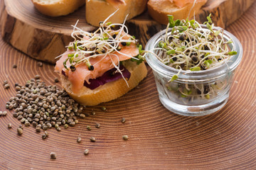 cannabis spouts dish. superfoods