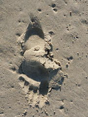 single footprint on the beach