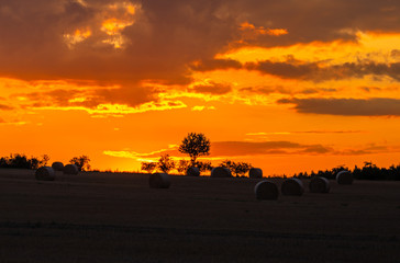Straw bales in the sunset