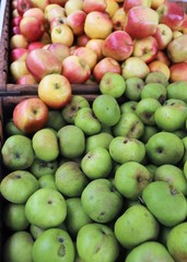 closeup of apples exposed to the market